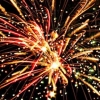 Gott Nytt år från oss:)