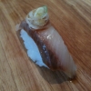 Veckans Nigiri - Hamachi med vitlök/vårlök ponzusås.