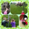 Trots en del blåst och regnvarning var det många busiga barn och djur som hade roligt!