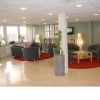 The lobby