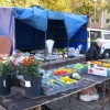 Market stall every Friday and Saturday