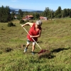 Nu börjar årets slåtter! Kom gärna och hjälp till! :)