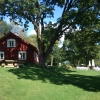 En underbar sensommardag vid Bjurbäcken