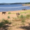 Bild från Storön Kalix av @hajhanna - hänger på beachen med mina boys #tracesofnorrbotten