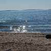 Fin sandstrand!