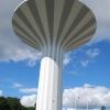 Svampen i Örebro.