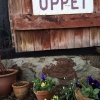 Här kikar våren fram så smått bland penséerna :) 

Och såklart har vi öppet Tors - Sön 11-17!