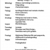Lunchmeny v. 49
Välkomna!