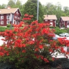 Dags nu för 20 tyska präster att bo på vandrarhemmet i en vecka!