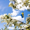 Fredag den 6 juni
har vi STÄNGT!
Välkomna igen på lördag!