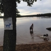 Bild av @rmppse - Fin hundbadstrand i Braås