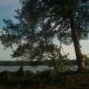 Glottrasjön - fin liten strand och vackra promenadstigar