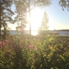 Bild från Mjölknabbens Camping av @linehellum - Småland 