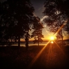Bild från Mjölknabbens Camping av @linehellum - Sidste aften 