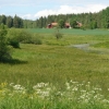 in the nieighbourhood