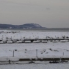 Hamnen med Stenshuvud i bakgrund