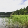 Bild från Flottsbro av @flottsbro - Vy från Tullingesjön in mot Katthavet. Passa på att ta en vandringstur i området nu i sommar. Många fina och lättillgängliga utsiktsplatser. #flottsbro #swecamp #huddinge