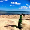 Bild från Ljugarns strand av @steffies_ - En dag på stranden