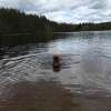 Bild av @ulricanorling - Tar ett dopp på barrtjärn idag ☺️ önskar jag kunde göra detsamma. Dränka mig lite också kanske.