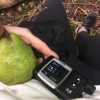 Bild av @healthydiabetic - Yes!! Blodsockret är hel knas idag. Sjunker snabbt. Höjs snabbt. Vad händer i kroppen min? Inte fel på cgm:n heller. Skönt det sjunker nu. Var nästan precis på 16. #promenad #picknick #cgm #dexcom #diabetes #diabetic #diabetiker