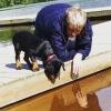 Bild från Bjärlången av @snehickaren - #tönnersjöheden #rottweiler #Chelly #bjärlången # bjärnum