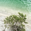 Bild från Blå lagunen, Gotland av @spelhagen - Blå Lagunen Gotland, svalt dopp idag.