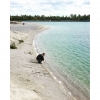 Bild från Blå lagunen, Gotland av @tovelouicious - Igår badade några av oss (inte mamma) i turkost vatten 