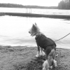 Bild från Badet I Simonstorp av @ktyllstrom - Såhär ser en sjö ut. #förstagången #insjö