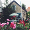 Bild från Borstahusen av @landskronastad - I det här huset bor Kaj som vi träffade när vi tog vårt dopp imorse. Hur gulligt? #Borstahusen #Landskrona #Landskronastad