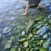 ... och gott om stenar att plumsa vid stranden och raukarna strax intill.