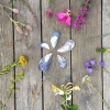 Bild av @lottainsideout - Joining #floralfridaycompetition with @emilyquinton. Flowers and shells found during morning beach walk on the Swedish west coast 
