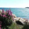 Bild från Lökholmen av @maritabroberg - Tog lång lunchrast idag.
#solochbad