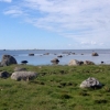 Bild av @visitbromolla - Vilken härlig dag ute på #edenryds #kustled Solen skiner och fåglarna kvittrar. Träffade även en badare - så badsäsongen är igång :) #visit #bromölla #Skåne #sweden