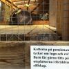 Katt-pensionat!