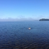 Bild från Erken av @hakanberntsson - Morgondopp i Erken #erken