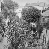Blomsterkrokens Hus mitten av 1800 talet då det planterades exotiska växter i trädgården.