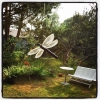 Bild av @palsi - Köpte mig en äkta Zadig. #glaskonst #trollslända #dragonfly #art #sommar #juli #strandskogen  #sommarstuga