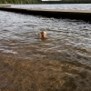 Bild från Flatenbadet av @malinochoskar - Kvällsbad