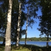 Bild från Abborviken - Sidsjön av @gunillaokfors - Naturbild 5 av 7. Här har jag tillbringat hela den här fina veckan med sol och bad 