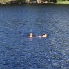 Bild från Bjärsjö Badplats av @sternerjohan - Tillbaka vid och i underbara #bjärsjön #bolum #broddetorp #sommar #bada