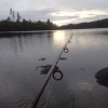 Bild från Bjärsjö av @sternerjohan - Nice way of spending a Sunday evening. Me and Liam fishing. #qualitytime #fishing #bjärsjön #bolum