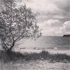 Bild av @orjaneng1 - Ett blåsigt grensholm #bad
