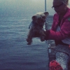 Bild från Fulviks Badplats av @ollealle - Stackars #hunn #bada tassarna