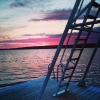 Bild från Fågelöuddebadet, Lidingö av @csigabcsi - #fågelöuddebadet #fågelöudde #like #lidingö #lidingöstad #sweden #svédország #sverige #followme #beautiful #nice #sunset #solnedgång #naplemente #sommar #summer #nyár #in_hun #ikozosseg #mik #instafoto #i