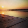 Bild från Fågelöuddebadet av @csigabcsi - #fågelöuddebadet #fågelöudde #like #lidingö #lidingöstad #sweden #svédország #sverige #followme #beautiful #nice #sunset #solnedgång #naplemente #sommar #summer #nyár #in_hun #ikozosseg #mik #instafoto #instalike 