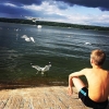 Bild från Fågelöuddebadet av @legra_g - #thebirds  #stockholm #beach