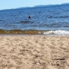 Bild från Fönebo Camping av @annakarindelsbo - Första dan på stranden. Härligt!!