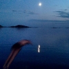 Bild från Ganletbadet av @sitroll - Är det en suddig korv? Nej, det är en dykande Ella! #nattdopp