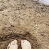 Bild av @lillans73 - Äntligen lite sol, bad & sand mellan tårna☀️