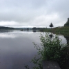 Bild från Ångersjöns Rastplats av @loppa1975 - Efter drygt två timmars bilkörning i hällregn stannar vi för liten mat- och fiskepaus vid Ångersjön. Det slutar regna, solen tittar fram o det är underbart vackert. Haha. Inget man ångrar direkt. ❤️#ångersjön
